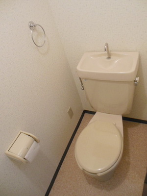 Toilet. Toilet with cleanliness