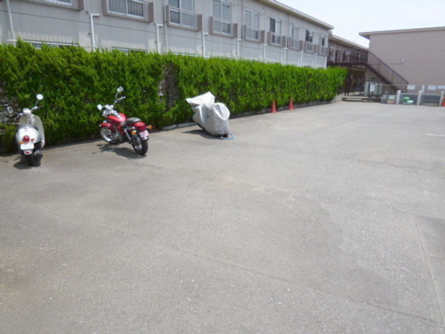 Parking lot. Spread of parking