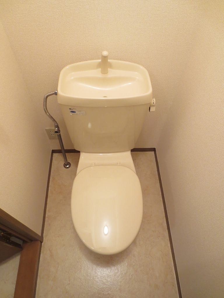 Toilet. Cleaning toilet seat mounting is possible