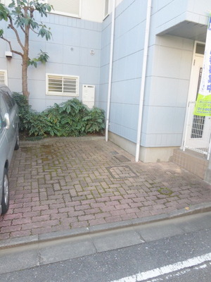 Parking lot. On-site parking