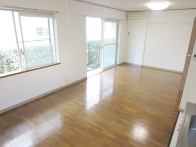 Living and room. Spacious living room