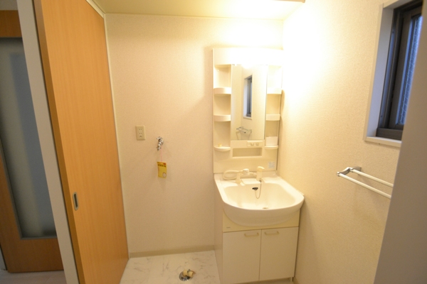 Washroom. Wash basin