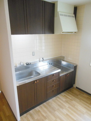 Kitchen. Two-burner gas stove installation Allowed Kitchen