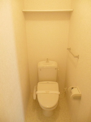 Toilet. There is a storeroom space at the top
