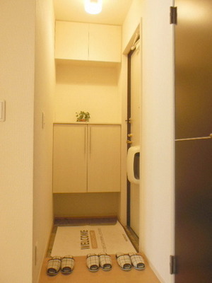 Entrance. Entrance space