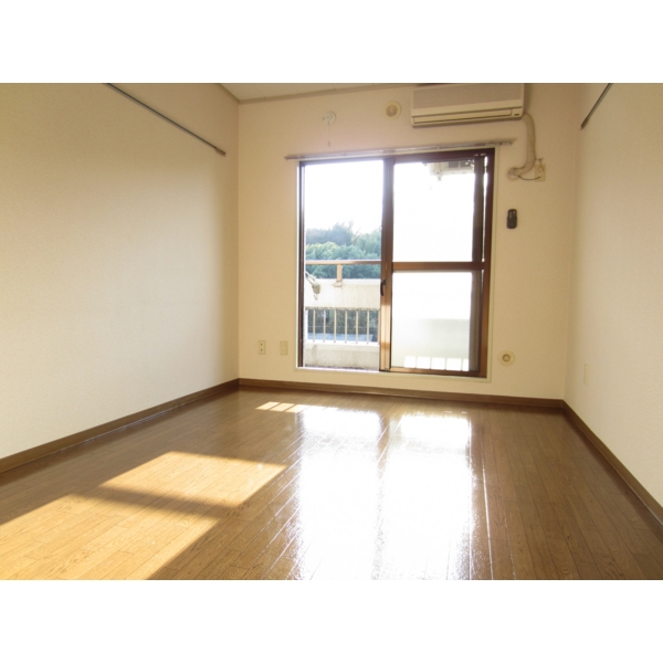 Living and room. Facing south, Sunny!