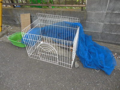 Other common areas. Shared waste storage