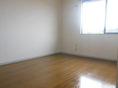 Living and room. Bright living room