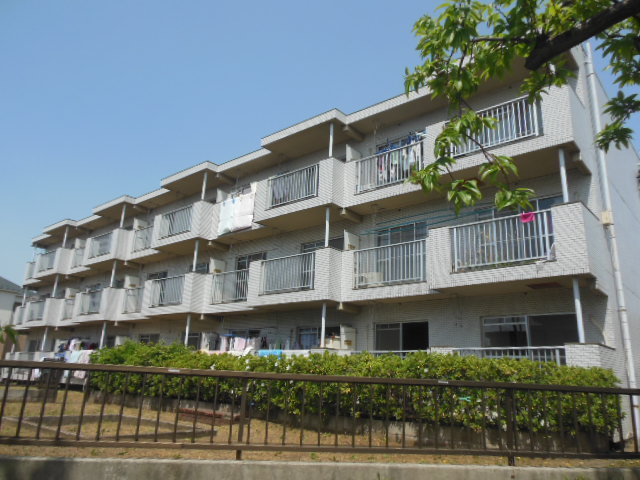 Building appearance. Balcony side appearance