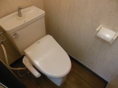 Toilet. Toilet with cleanliness
