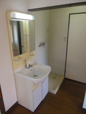 Washroom. Independent wash basin