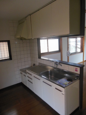 Kitchen. Face-to-face kitchen