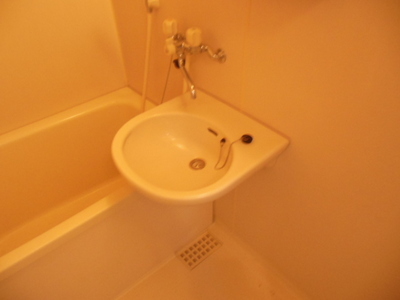 Washroom. Wash basin