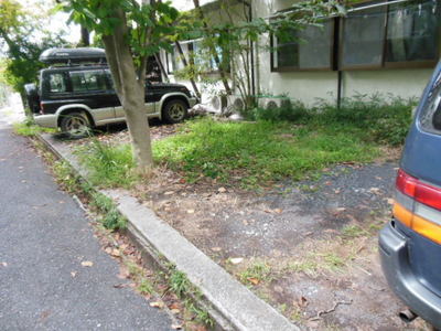 Parking lot. Parking lot