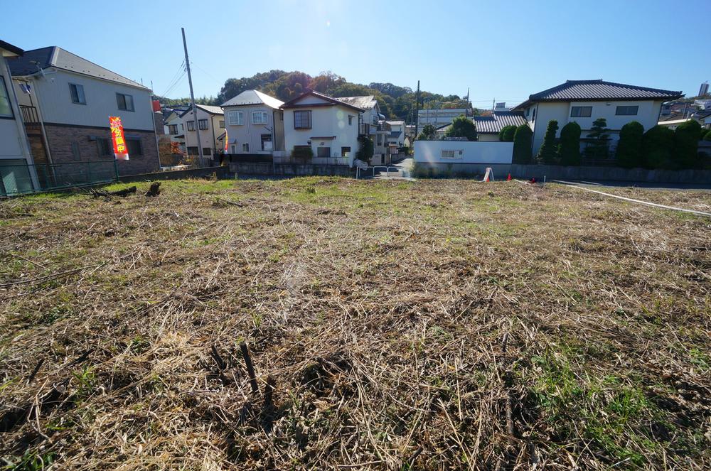 Local land photo. Local Photos