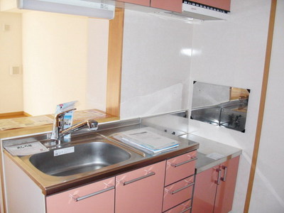 Kitchen. Two-burner gas stove installation Allowed Kitchen