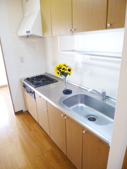 Kitchen. System kitchen