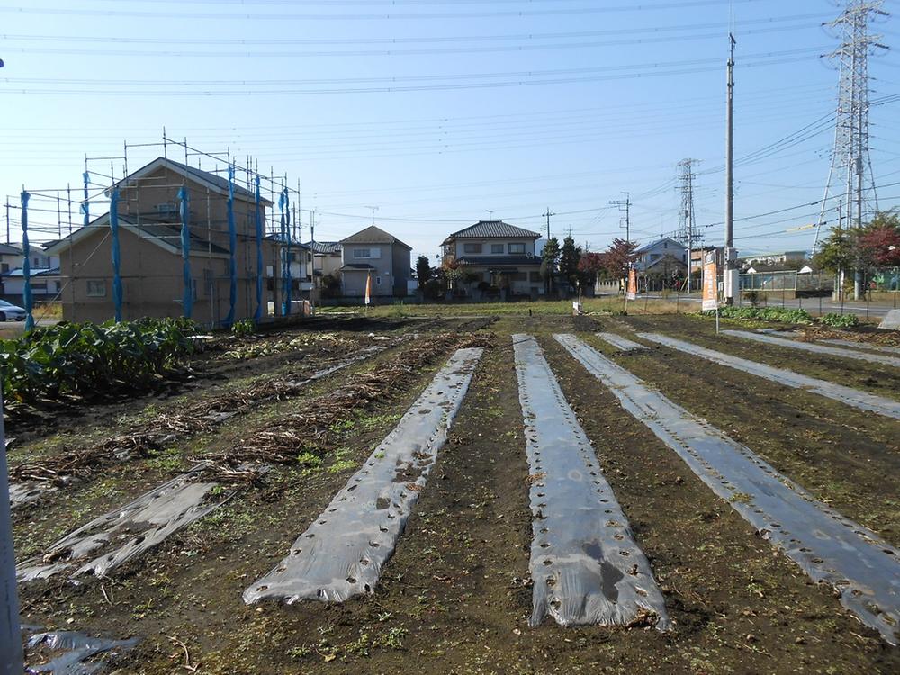 Local land photo. Local (11 May 2013) Shooting