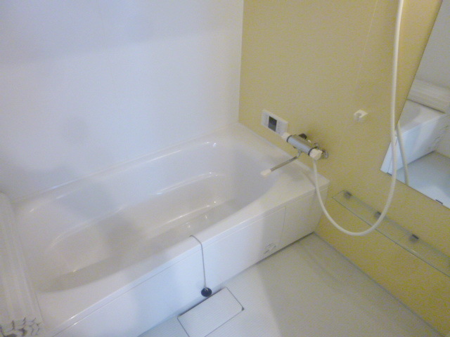 Bath. The bath is large