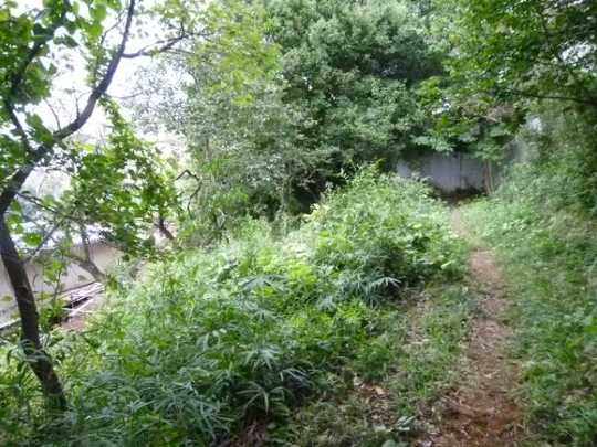 Local land photo. The subject real estate around (1)