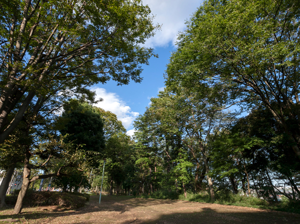 Surrounding environment. Tamadaira sixth park (about 590m ・ An 8-minute walk)