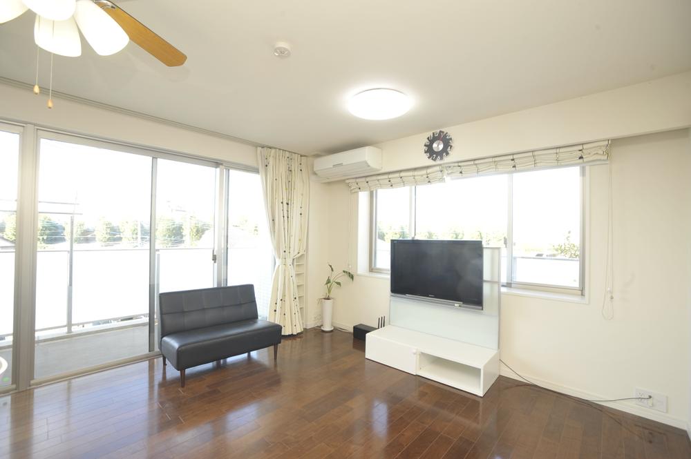 Living. Indoor (11 May 2013) Shooting