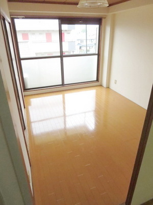 Other room space. Bright Western-style