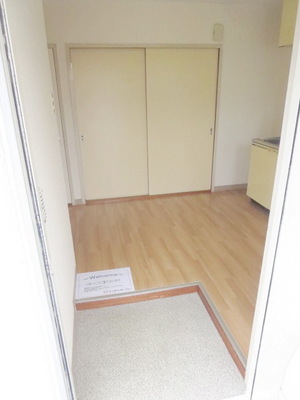 Entrance. It is the entrance space