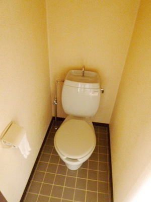 Toilet. Hot breath in the toilet