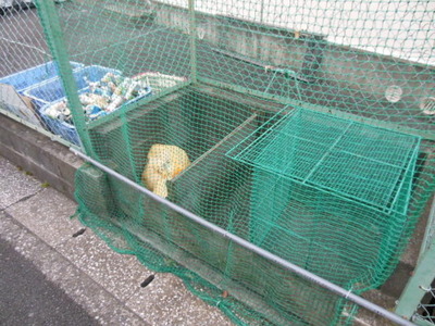 Other common areas. Shared waste storage