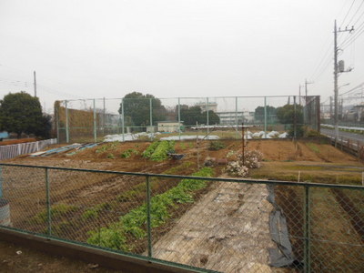 View. It is the scenery