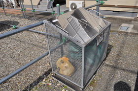 Other common areas. On-site waste dump ☆ 