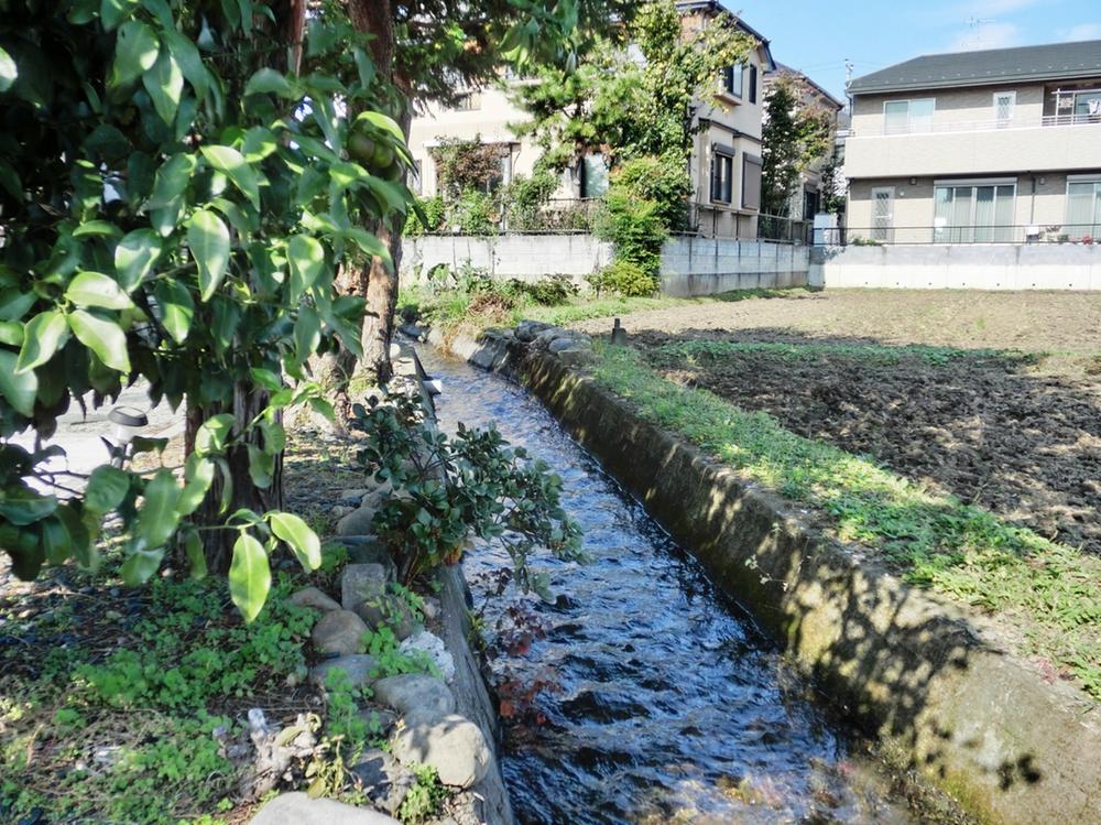 Other local. Local waterway (October 2013) Shooting