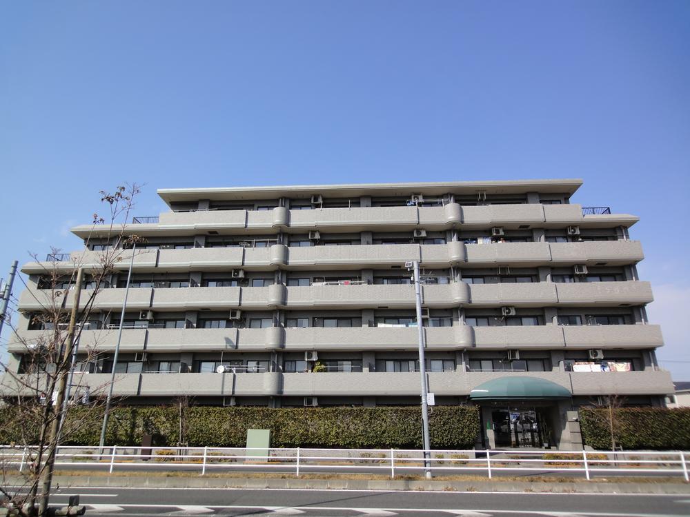 Local appearance photo. Local (March 2013) Shooting