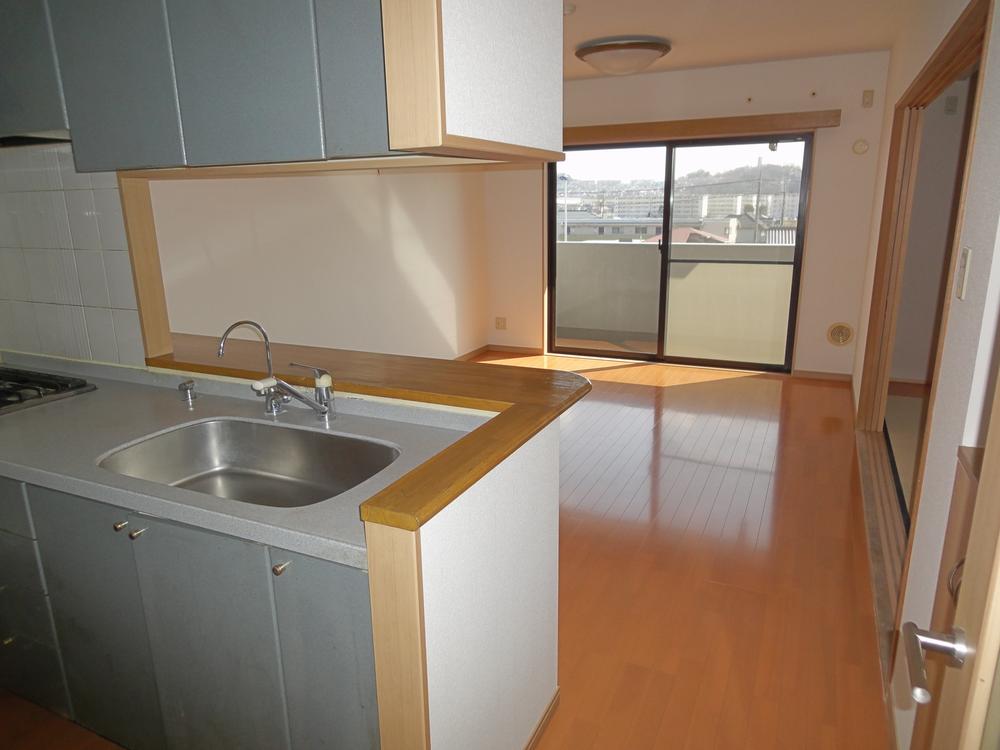 Kitchen. Indoor (March 2013) Shooting