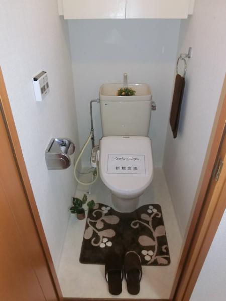 Toilet