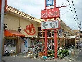 Supermarket. 500m to the Alps (super)
