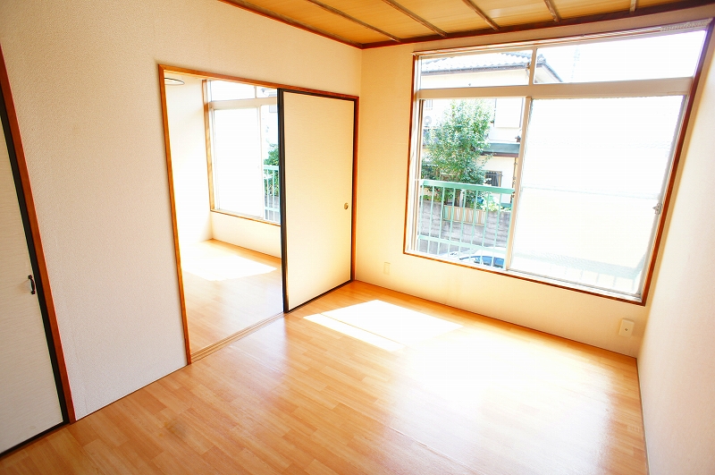 Living and room. Bright DK