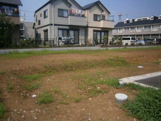 Local land photo. Local Photos