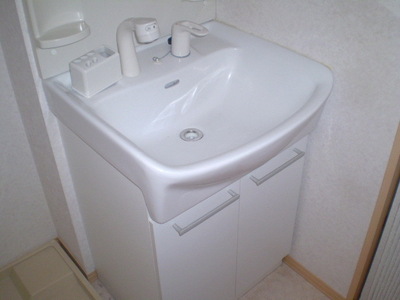 Washroom. Shampoo dresser