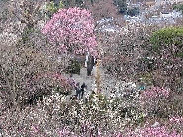Other. Bai Cao Yuan Garden until the (other) 850m