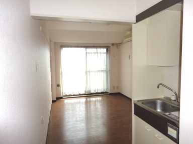 Entrance. Room overlooking from the front door