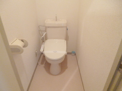 Toilet. With cleaning toilet seat