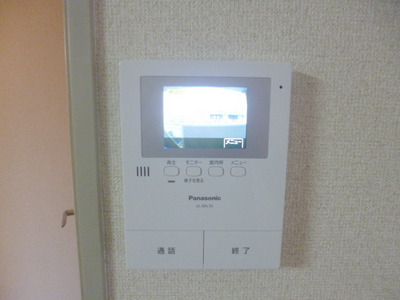 Security. Monitor with intercom