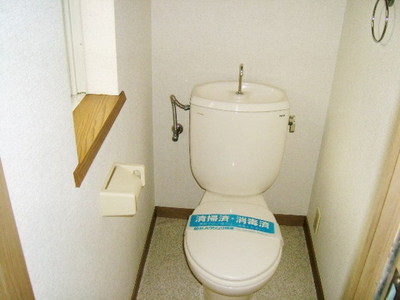 Toilet. Toilet with cleanliness