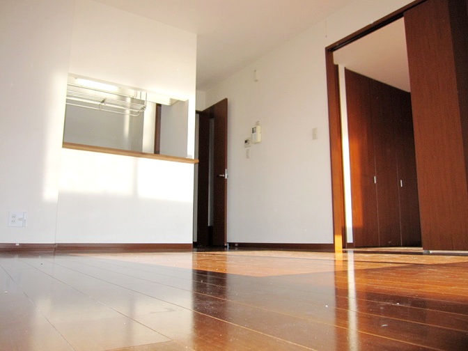 Living and room. Living