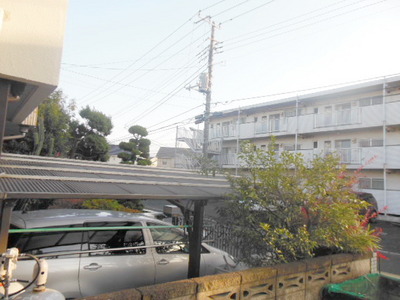 View. A view from the window