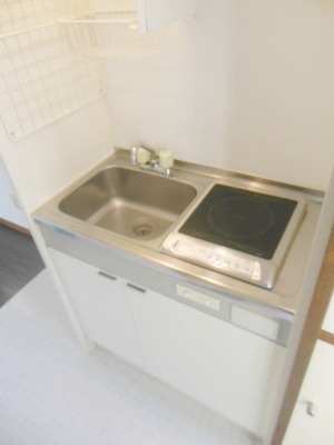 Kitchen. IH cooking heater