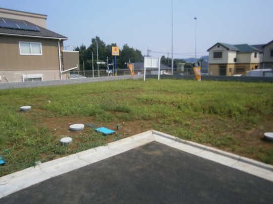 Local land photo. Local Photos