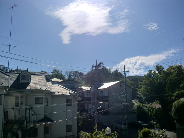 View photos from the dwelling unit. 1 Building